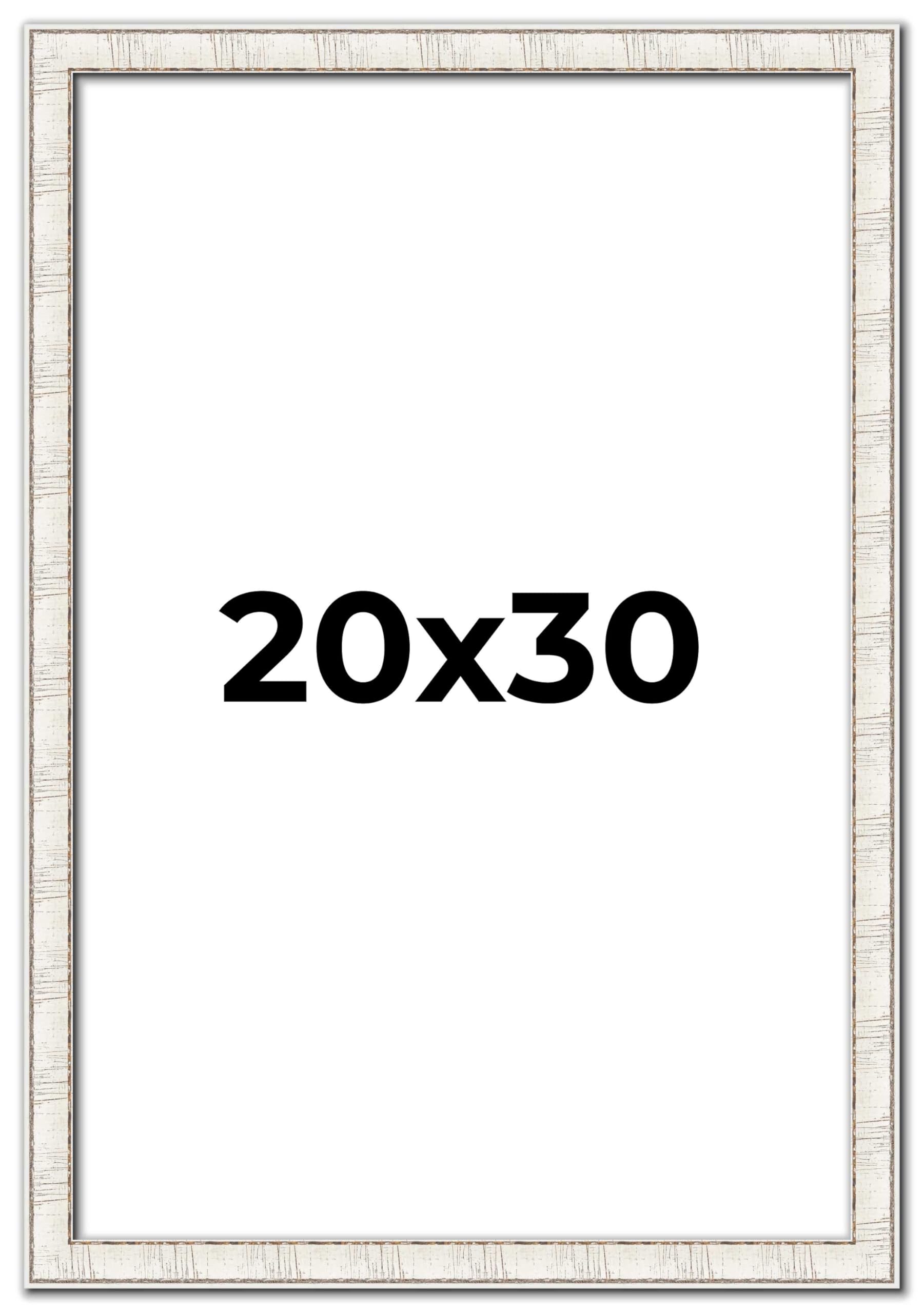 Amazon.com - Poster Palooza 20x30 Frame White Birch Bark Solid